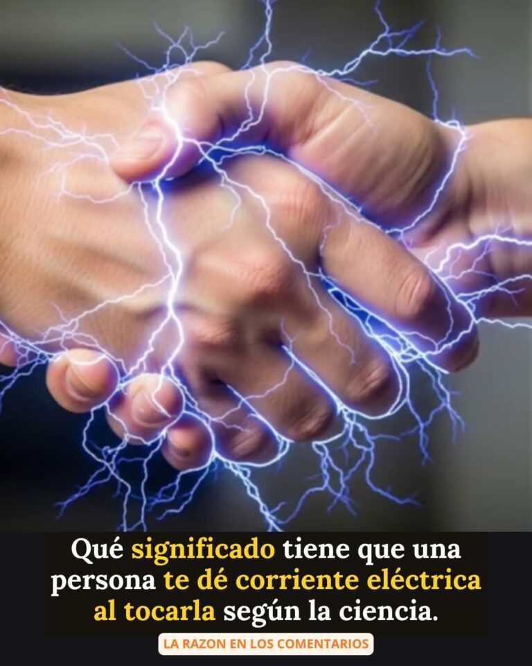 “Eleva tu Energía, Ordena tu Mente: El Poder de lo Cotidiano”