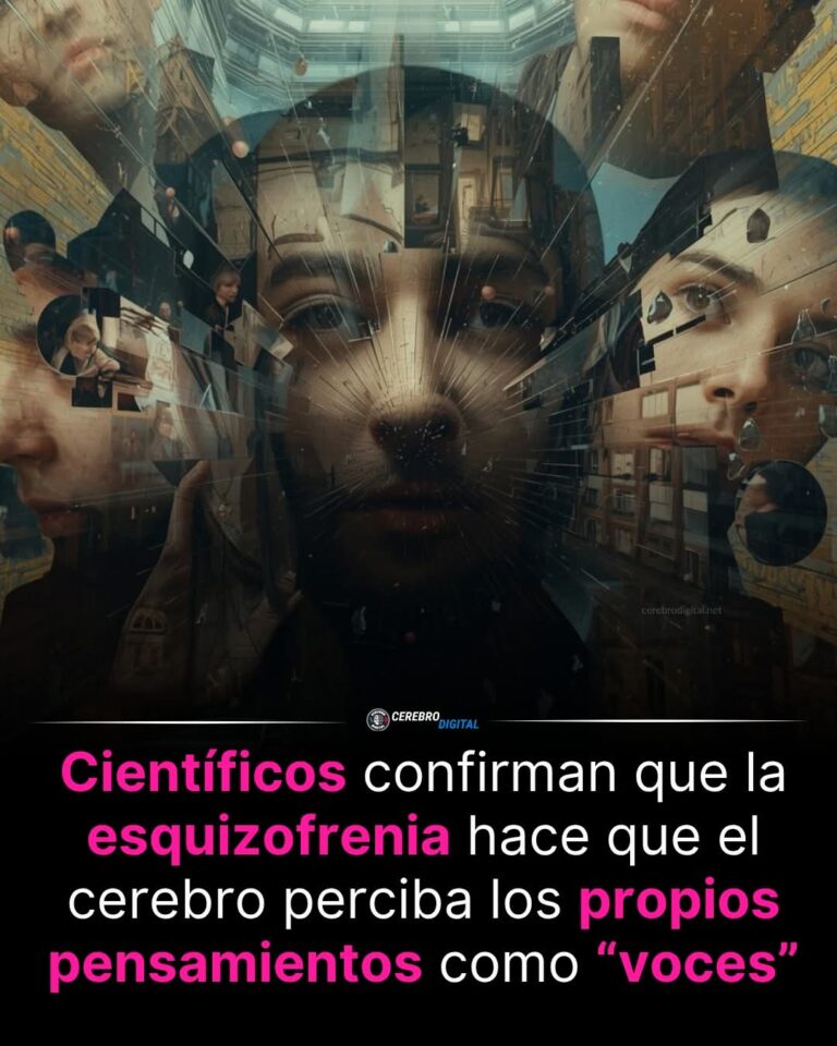 “Científicos Confirman el Origen Real de las Voces en la Esquizofrenia: El Cerebro Se Confunde a Sí Mismo”