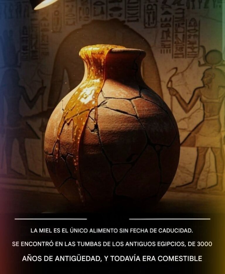La miel es el único alimento sin fecha de caducidad. Se encontró en las tumbas de los antiguos egipcios, de 3000 año de antigüedad y todavía era comestible.
