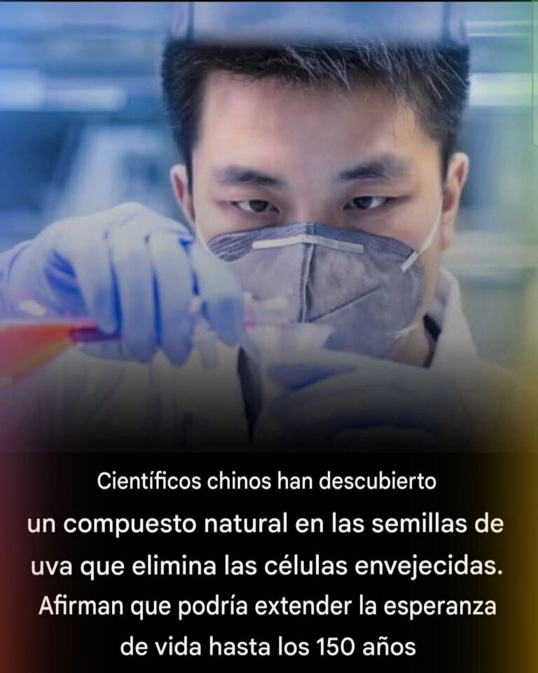 Científicos chinos han descubierto un compuesto natural en las semillas de uva qué elimina las células envejecidas. Afirman que podrían extender la esperanza de vida hasta los 150 años.