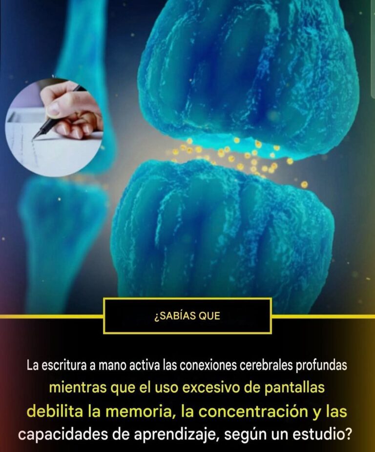 “El Poder Oculto del Lápiz: Cómo Escribir a Mano Reconfigura y Fortalece el Cerebro”