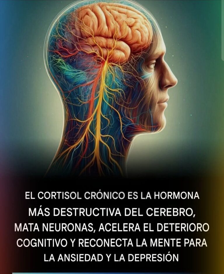 “Cuando el estrés toma el control: la verdad oculta sobre el cortisol y tu cerebro”
