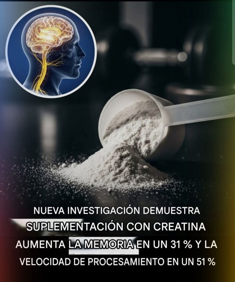 "Creatina: la molécula que podría potenciar tu memoria y acelerar tu mente"