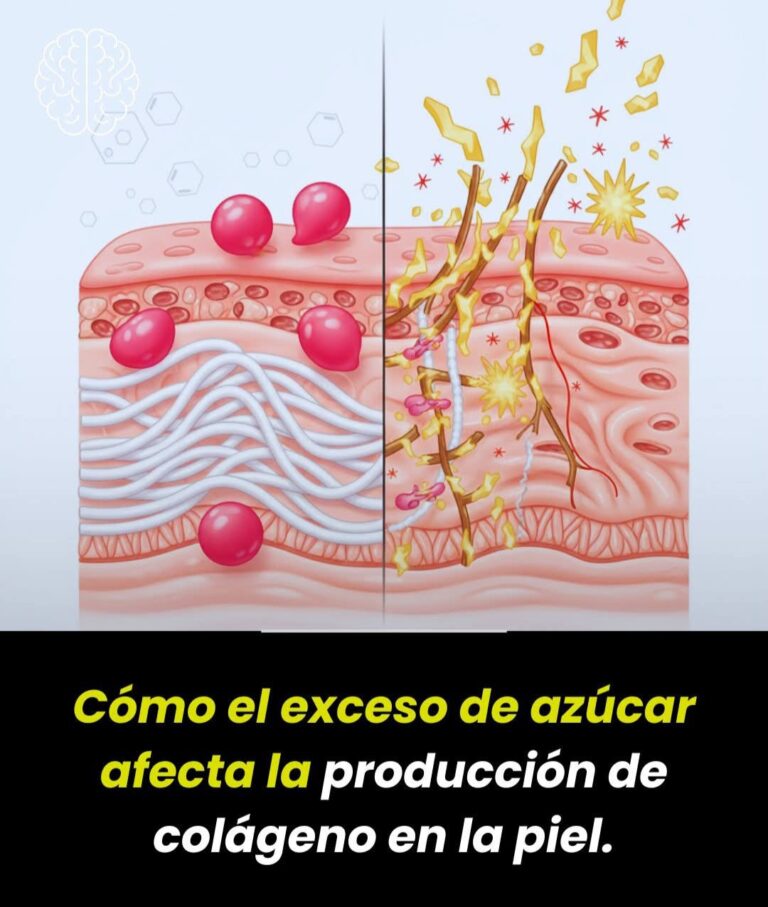 “El azúcar que comes hoy es la arruga que verás mañana”