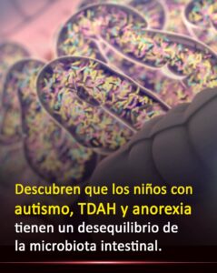 Más Allá del Cerebro: La Microbiota Como Punto en Común entre Autismo, TDAH y Anorexia
