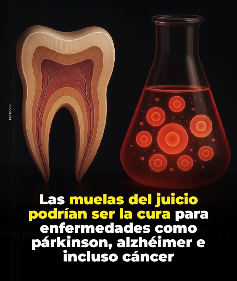 “La Muela que Guarda un Milagro: Ciencia, Regeneración y Futuro”