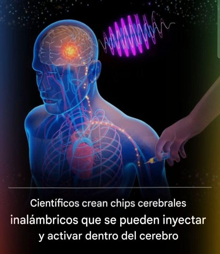 “El Implante que Viaja por la Sangre: La Tecnología del MIT que Podría Redefinir la Neuromedicina”