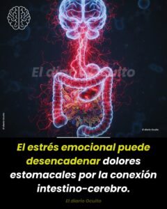 El estres emocional puede desencadenar dolores estomacales por la conexión intestino - cerebro