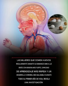 Huevos en el Embarazo: Cómo la Colina y Otros Nutrientes Apoyan el Desarrollo Cerebral del Bebé