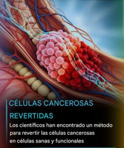 ¿Revertir el Cáncer? Un Nuevo Enfoque Busca Convertir Células Malignas en Células Sanas
