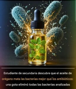 La gota que desafía a los antibióticos: cómo un estudiante reveló el poder oculto del aceite de orégano