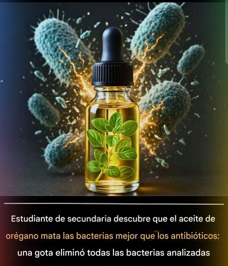 La gota que desafía a los antibióticos: cómo un estudiante reveló el poder oculto del aceite de orégano