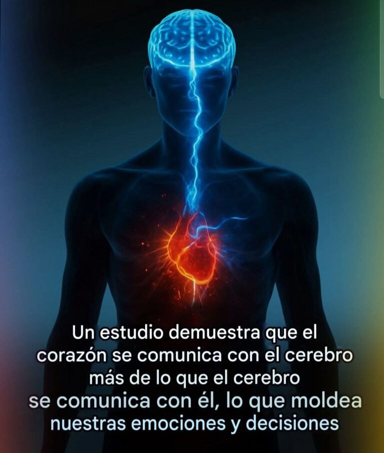El corazón como arquitecto emocional: La coherencia corazón - cerebro y su influencia en nuestras decisiones