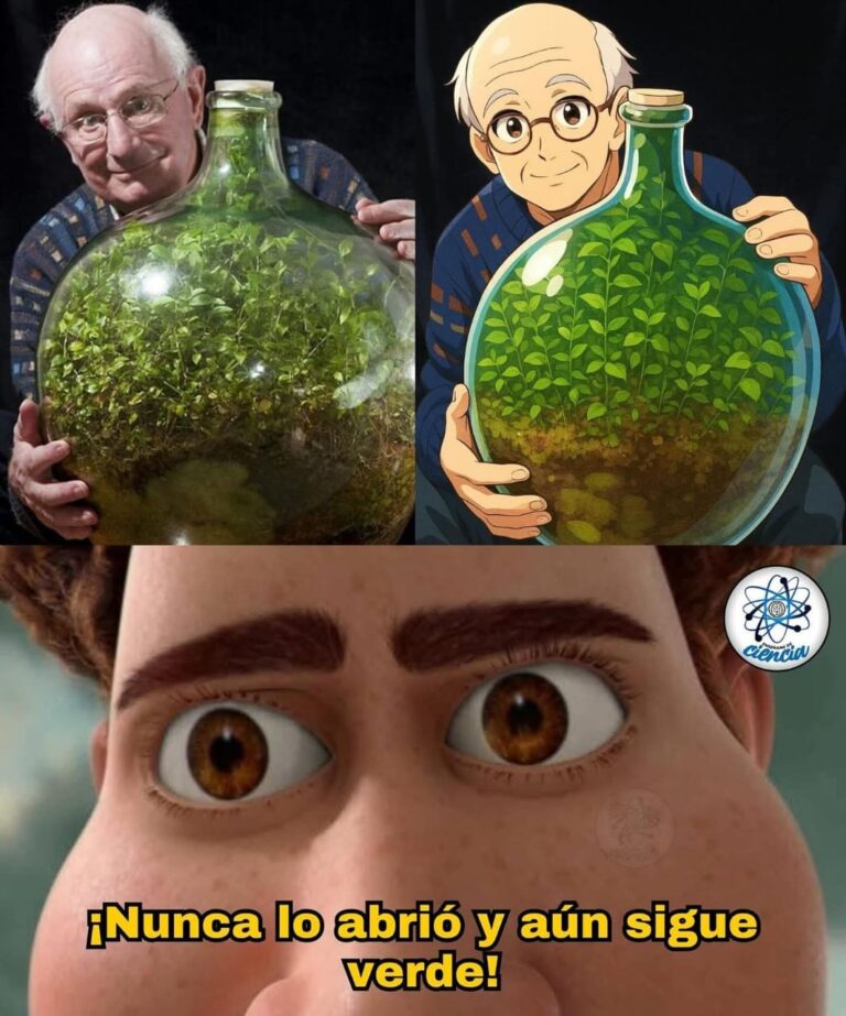 ¿Cómo Sobrevivió 60 Años una Planta en una Botella Cerrada?