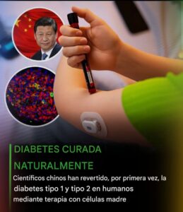 “Científicos chinos logran revertir la diabetes tipo 1 y tipo 2 con terapia de células madre”