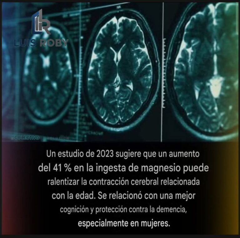Magnesio y salud cerebral: el mineral que podría mantener tu cerebro más joven