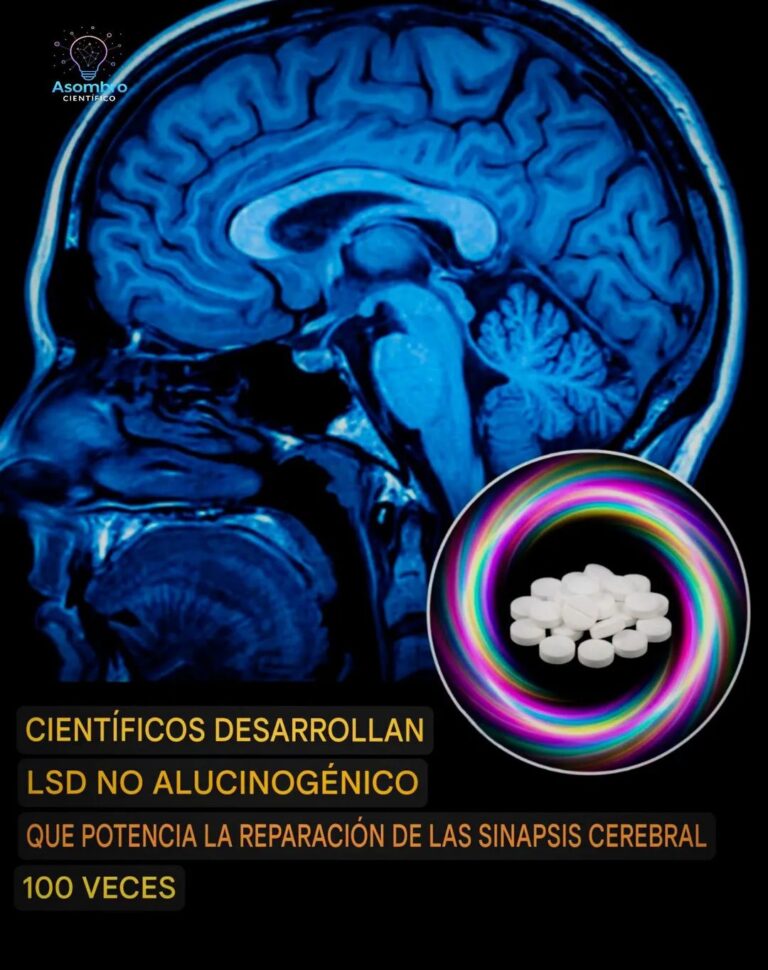 Ciencia sin alucinaciones: crean un derivado del LSD que regenera neuronas sin efectos psicodélicos