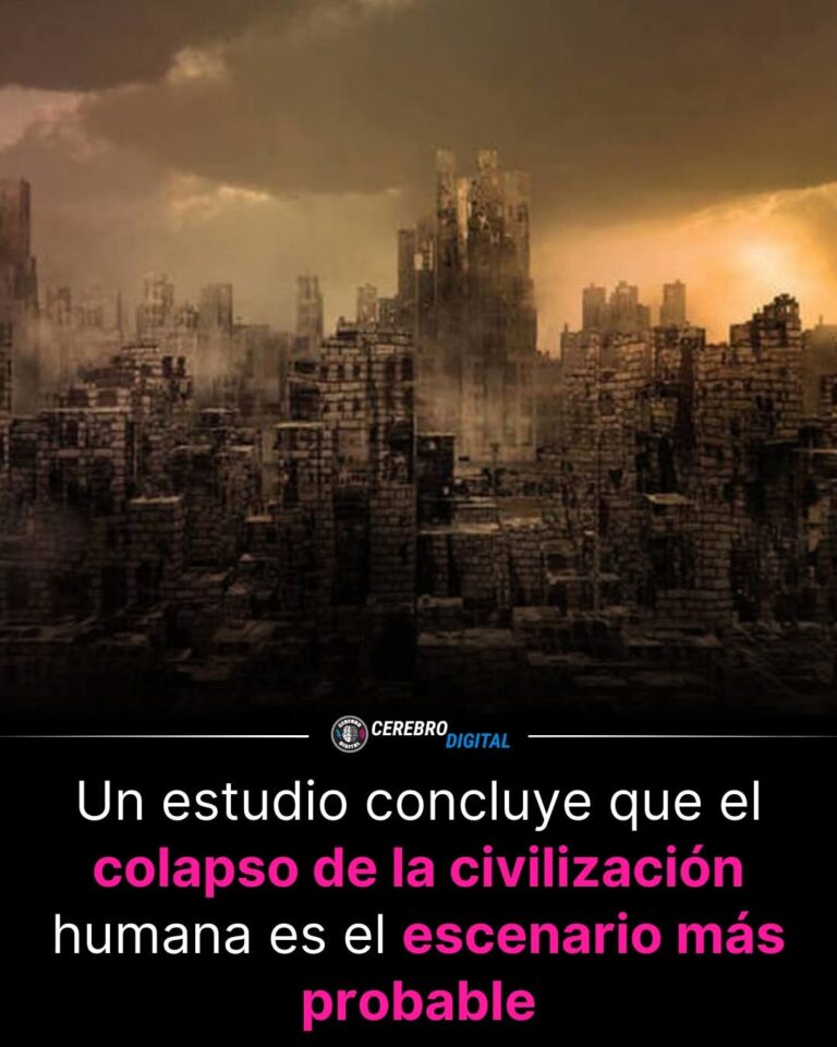 “La civilización no cae de golpe: se erosiona hasta que ya no puede sostenerse”