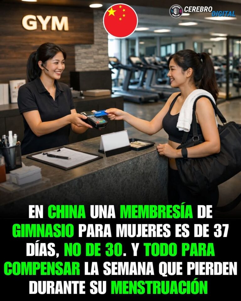 Fitness con ciencia y empatía: el modelo de 37 días que está redefiniendo los gimnasios en China