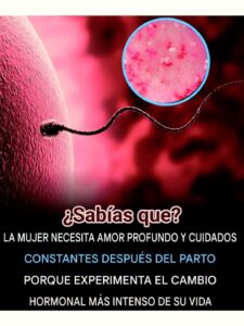 Después del nacimiento: cuidar a la madre es cuidar la vida