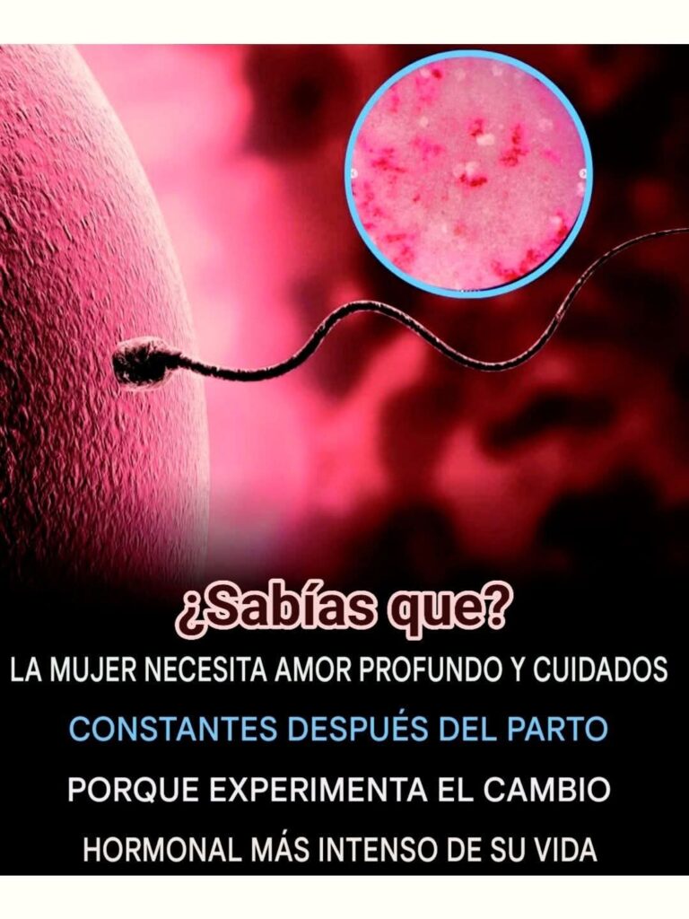 Después del nacimiento: cuidar a la madre es cuidar la vida