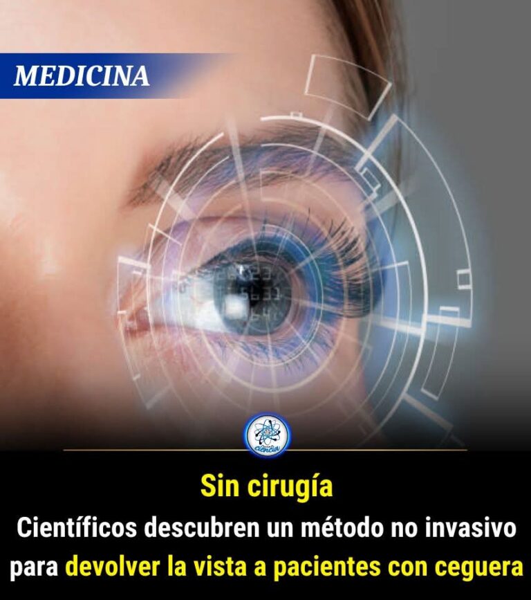 Avance científico: ¿podremos recuperar la vista en el futuro?