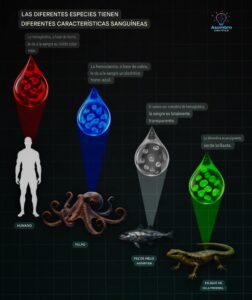 “Sangre de colores: la química secreta que permitió a la vida conquistar todos los mundos”