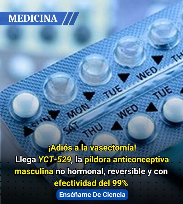 Revolución anticonceptiva masculina: eficacia del 99%, efecto rápido y totalmente reversible (en estudios animales)