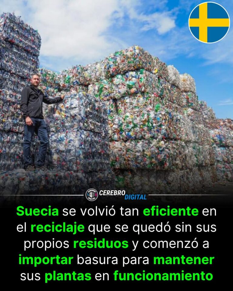 DE BASURA A ENERGÍA: EL MODELO SUECO QUE CONVIRTIÓ LOS RESIDUOS EN ORO SOSTENIBLE