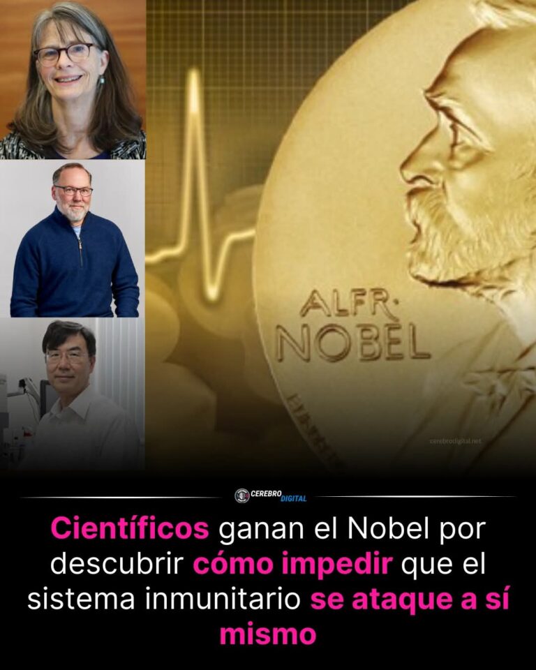 DESCUBREN EL “INTERRUPTOR MAESTRO” QUE EVITA QUE TU CUERPO SE AUTODESTRUYA