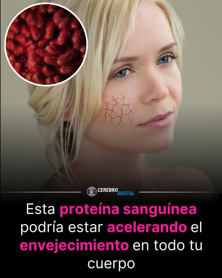 “No es solo el tiempo: descubren la proteína que acelera el envejecimiento desde dentro”