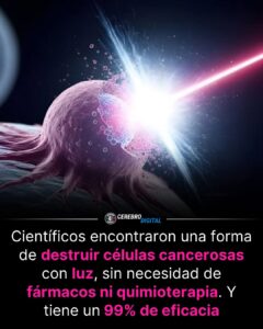 Científicos crean “martillos moleculares” que destruyen células cancerosas con luz
