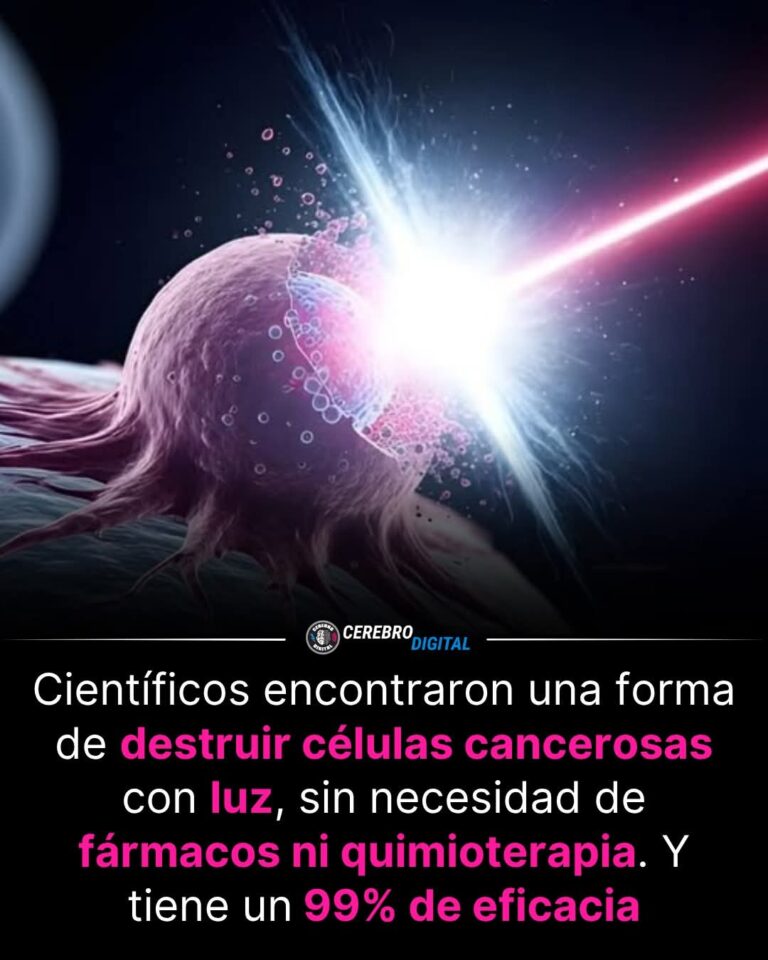 Científicos crean “martillos moleculares” que destruyen células cancerosas con luz