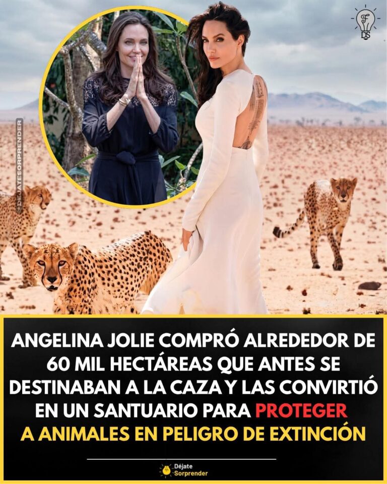 De la guerra a la conservación: el legado ambiental de Angelina Jolie en Camboya