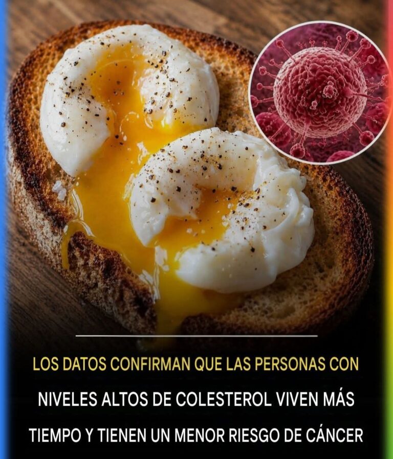 COLESTEROL: EL “VILLANO” QUE PODRÍA ESTAR MAL ENTENDIDO