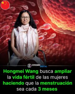 REPROGRAMAR LA FERTILIDAD: CÓMO LA MEDICINA REGENERATIVA BUSCA REESCRIBIR EL RELOJ BIOLÓGICO FEMENINO
