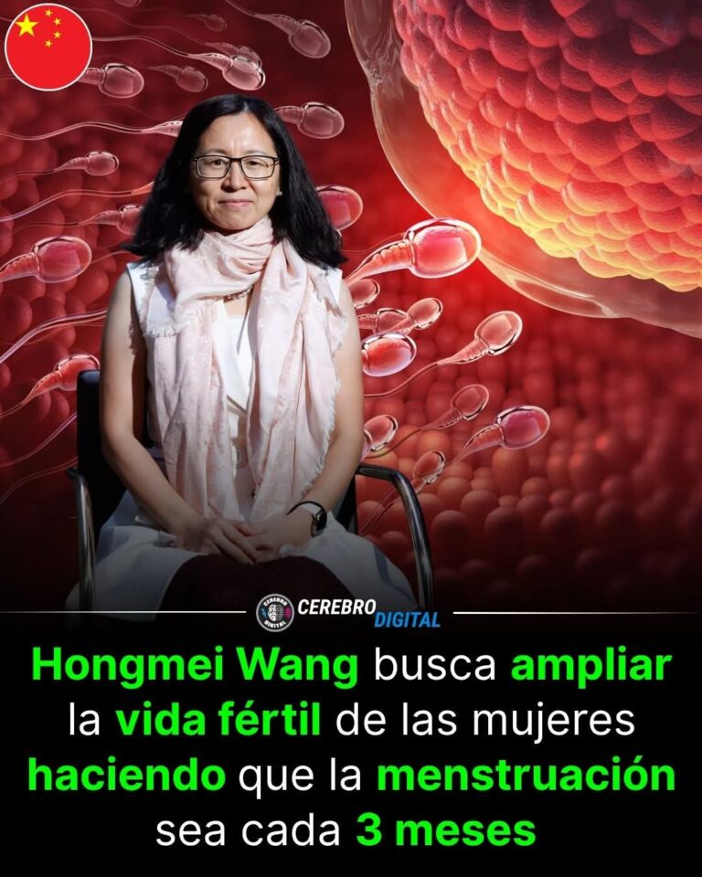 REPROGRAMAR LA FERTILIDAD: CÓMO LA MEDICINA REGENERATIVA BUSCA REESCRIBIR EL RELOJ BIOLÓGICO FEMENINO