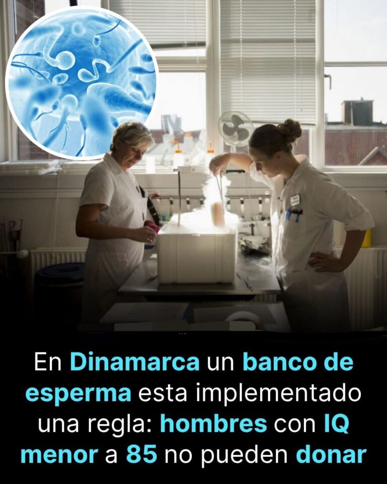 EL BANCO DE ESPERMA QUE FILTRA DONANTES POR IQ: CUANDO LA REPRODUCCIÓN ENTRA EN LA ERA DE LA SELECCIÓN GENÉTICA
