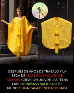 LA TELA IMPOSIBLE: EL PROYECTO QUE USÓ MILLONES DE ARAÑAS PARA CREAR UNO DE LOS TEJIDOS MÁS EXTRAORDINARIOS DEL MUNDO