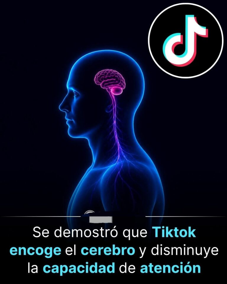 EL CEREBRO ATRAPADO EN 15 SEGUNDOS: CÓMO LOS VIDEOS CORTOS ESTÁN REPROGRAMANDO NUESTRA ATENCIÓN