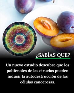 Ciruelas contra el cáncer: el descubrimiento científico que podría cambiar tu forma de comer