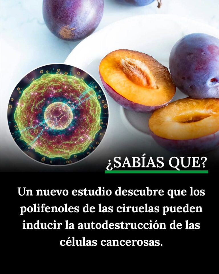 Ciruelas contra el cáncer: el descubrimiento científico que podría cambiar tu forma de comer