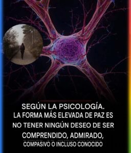 LA FORMA MÁS ALTA DE PAZ: CUANDO DEJAS DE NECESITAR LA MIRADA DE LOS DEMÁS
