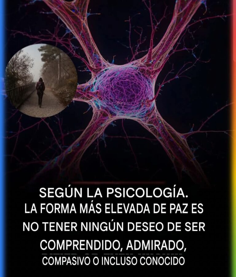 LA FORMA MÁS ALTA DE PAZ: CUANDO DEJAS DE NECESITAR LA MIRADA DE LOS DEMÁS