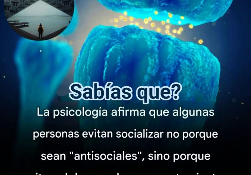 PROTEGER TU PAZ NO ES MODA: ES BIOLOGÍA, PODER Y SUPERVIVENCIA INTERNA