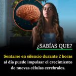 EL SILENCIO NO ES AUSENCIA: ES REPROGRAMACIÓN DEL CEREBRO
