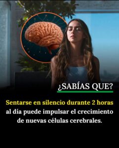 EL SILENCIO NO ES AUSENCIA: ES REPROGRAMACIÓN DEL CEREBRO