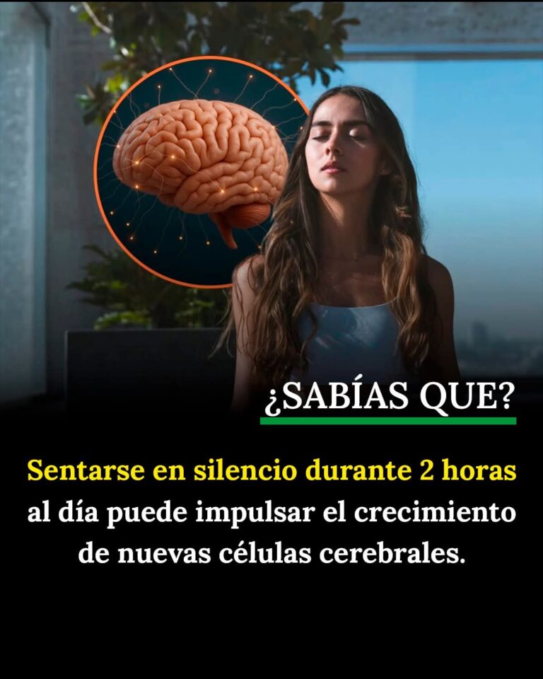 EL SILENCIO NO ES AUSENCIA: ES REPROGRAMACIÓN DEL CEREBRO