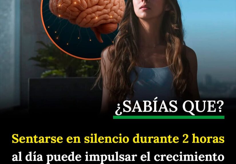 EL SILENCIO NO ES AUSENCIA: ES REPROGRAMACIÓN DEL CEREBRO